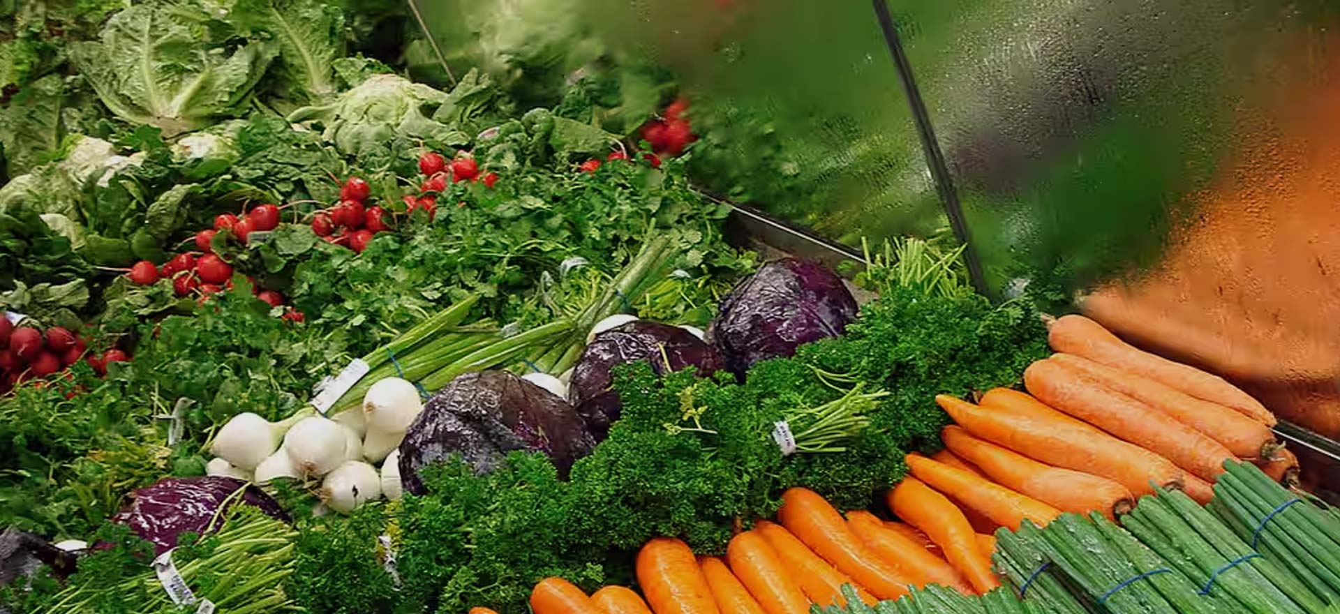 SRM Agro, vegetable farming